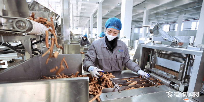 机械设备供应商市场动态解析